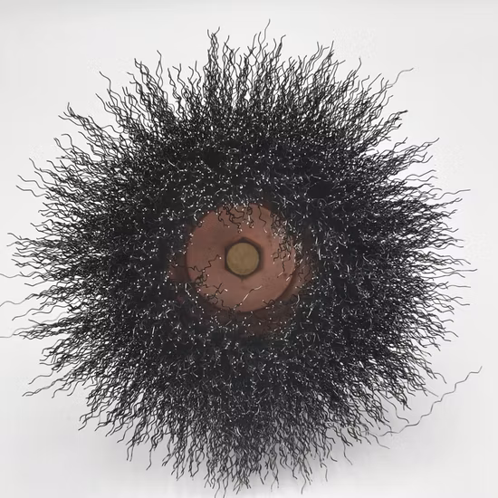 Spazzola circolare in filo metallico di acciaio legato a tazza rotonda piccola per smerigliatrice angolare