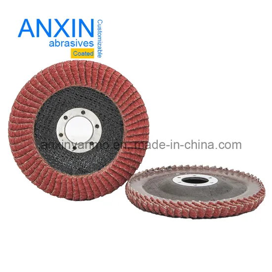 Disco lamellare in ceramica domestico OEM con supporto in fibra di vetro per rimuovere rapidamente l'ossidazione del calcare